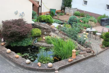 Koiteich mit Garten