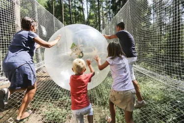 Spiele für die Familie (© D'or anglada)