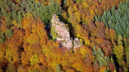 Burgruine Froensburg/F (© Kurt Groß)