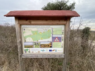 Ein Informationsschild für den Wein-Aktiv-Lehrpfad in Gerolsheim. Es zeigt eine Karte und Hinweise für Besucher.