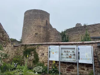 Blick auf einen Stadtmauerturm Neuleiningen