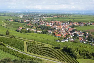 Balkonaussicht (© Burggarten Appartements)