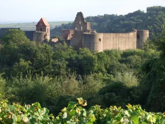 Burg Neuleiningen