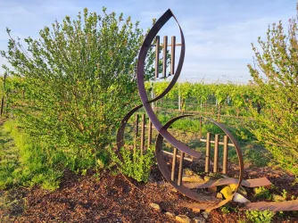 Eine moderne Skulptur in Form einer Notenschlüssel befindet sich in einem Weinberg. Im Hintergrund sind grüne Weinreben und ein klarer Himmel zu sehen.