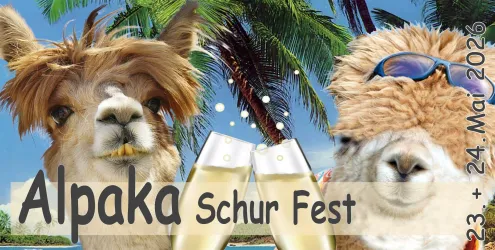 Ein fröhliches Alpaka-Schur-Fest mit zwei Alpakas, die fröhlich in die Kamera schauen. Im Hintergrund sind Palmen und zwei Sektgläser zu sehen.