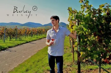 Ein Mann steht in einem Weinberg und hält ein Glas Roséwein in der Hand. Im Hintergrund sind grüne Reben und Hügel zu sehen.