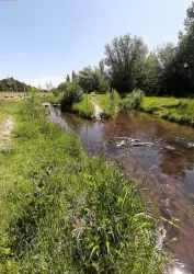 Queichpark_ (© Büro für Tourismus Landau)