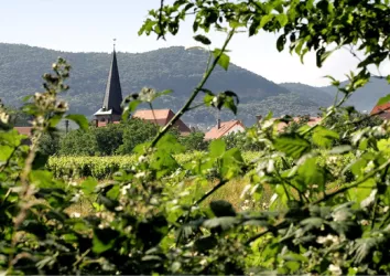 Landau Ortsteil Godramstein (© Stadt Landau in der Pfalz)