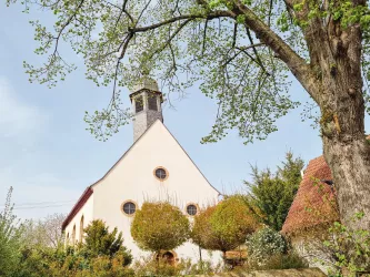 Blick auf Dammheim