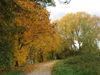 Queichweg am Paulusstift (© Doris Prokop)