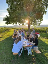 Eine lange Tafel unter einem großen Baum in einem Weinberg. Die Sonne scheint und es sitzen viele Menschen zusammen, um zu essen und zu trinken.