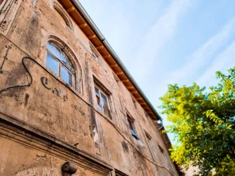 Eine alte, beschädigte Fassade mit einem Fenster und teilweise abblätternder Farbe. Im Vordergrund ist ein grüner Baum zu sehen, der einen Hauch von Natur hinzufügt.