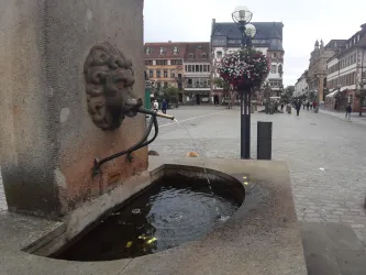 Ein schöner Wasserbrunnen mit einem Löwenkopf, aus dem Wasser fließt. Im Hintergrund sieht man eine ruhige Straße mit historischen Gebäuden.