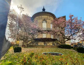 Ein historisches Gebäude umgeben von blühenden Kirschbäumen. Der Garten ist mit bunten Blumen und herabgefallenen Blättern geschmückt.