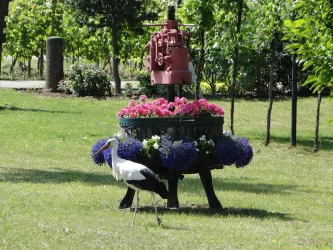 Storch (© Weingut Lorentz)