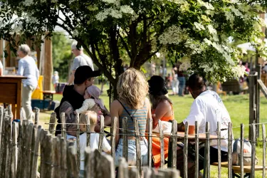 Eine Gruppe von Menschen sitzt unter einem Baum und genießt die Zeit miteinander. Im Hintergrund sind weitere Besucher und eine grüne Wiese zu sehen.