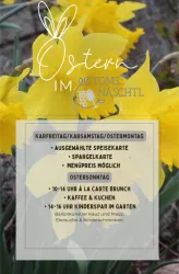 Eine fröhliche Oster-Dekoration mit gelben Narzissen. Informationen zu einem Osterbrunch und Kinderaktivitäten in einem Garten.