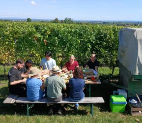Eine Gruppe von Menschen sitzt an einem Tisch im Freien und genießt eine Mahlzeit. Im Hintergrund sind Weinberge und ein blauer Himmel zu sehen.