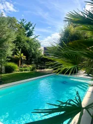 Ein klarer Pool umgeben von üppigem Grün und Palmen. Der Himmel ist blau mit vereinzelten Wolken.