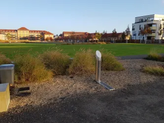 Eine grüne Wiese mit niedrigen Pflanzen und einem modernen Wohngebäude im Hintergrund. Es ist ein sonniger Tag und der Himmel ist klar.