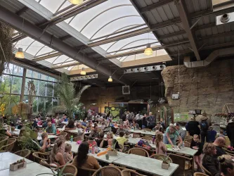 Ein belebtes Restaurant mit vielen Gästen, die an langen Tischen sitzen. Die Atmosphäre ist hell und freundlich, umgeben von Pflanzen und natürlichem Licht.