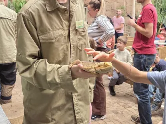 Eine Person hält ein Tier in der Hand, während Kinder und Erwachsene im Hintergrund interessiert zuschauen. Es handelt sich wahrscheinlich um eine Bildungs- oder Tierpräsentation.