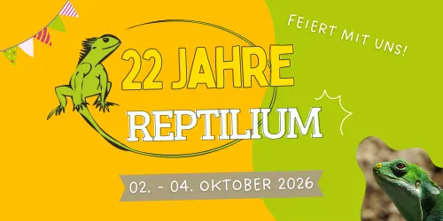 Ein buntes Banner zur Feier von 22 Jahren Reptilium. Das Banner zeigt eine Eidechse und lädt zur Teilnahme an den Feierlichkeiten vom 02. bis 04. Oktober 2026 ein.