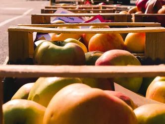 Frische Äpfel in Holzkisten auf einem Markt. Die Äpfel sind leuchtend und appetitlich.