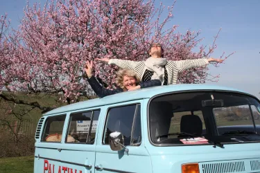 Zwei fröhliche Personen stehen auf dem Dach eines blauen VW-Busses. Im Hintergrund blüht ein schöner Kirschbaum.