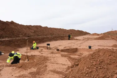 Auf der Wollmesheimer Höhe in Landau läuft aktuell eine archäologische Grabung.
