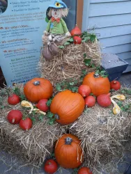 Herbstfest