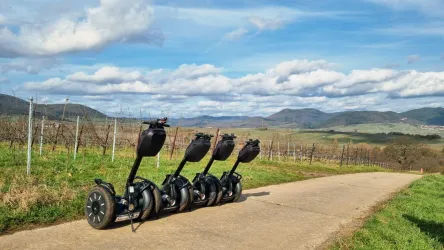 Vier Segways stehen auf einem Weg zwischen Weinreben. Im Hintergrund sind sanfte Hügel und ein blauer Himmel mit Wolken zu sehen.