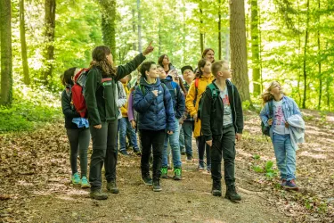Eine Gruppe von Kindern und Jugendlichen erkundet den Wald. Sie schauen aufmerksam in verschiedene Richtungen, während eine Person etwas zeigt.