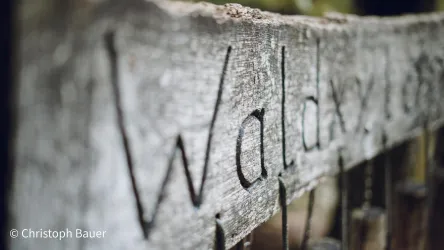 Ein attraktives, verwittertes Holzschild mit eingraviertem Text. Das Schild weist auf einen Weg oder ein Gebiet im Wald hin.
