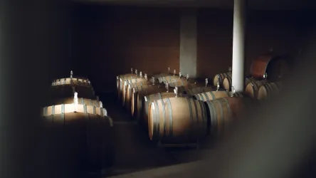 Ein Lagerraum mit mehreren Holzfässern. Die Fässer sind gut angeordnet und schaffen eine gemütliche Atmosphäre.