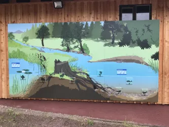 Ein Wandbild mit einer malerischen Landschaft zeigt einen Fluss, der durch Wälder fließt. Die Szene ist mit grünen Bäumen und Sträuchern sowie einigen Fischen und Pflanzen gestaltet.