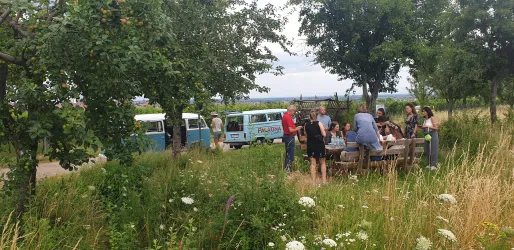 Eine Gruppe von Menschen sitzt an einem Tisch im Freien, umgeben von Pflanzen und Bäumen. Im Hintergrund stehen zwei blaue Bullis.
