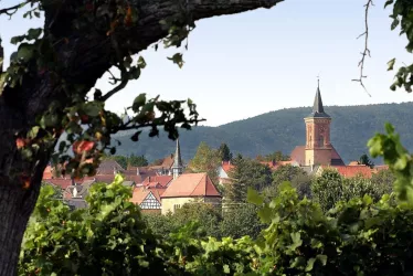 Landau-Nussdorf (© Stadt Landau - BfT)