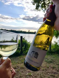 Weingut Dicker_Wollmesheim (© Weingut Dicker)