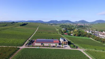 Luftaufnahme Weingut Vögeli