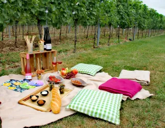 Picknick im Wingert