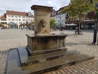 Ein Brunnen mit einem Löwenkopf in einem Stadtplatz. Der Platz ist von historischen Gebäuden und Bäumen umgeben.