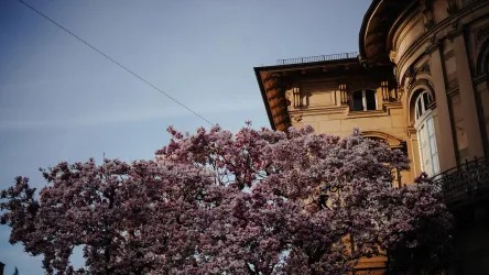 Villa Streccius, ehemaliges Wohnhaus des königlichen Notars Heinrich Streccius. Die lichtdurchfluteten Räume sind ein ideales Ambiente für die Präsentation anspruchsvoller zeitgenössischer Kunst.