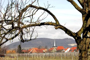 Landau-Godramstein (© Stadt Landau - BfT)
