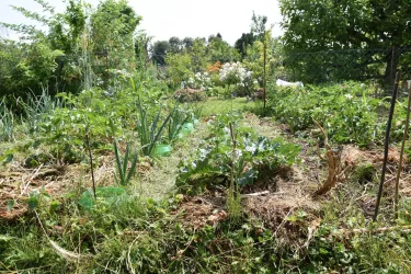 „Klimagarten Südpfalz“
