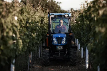 Ein Traktor fährt durch einen Weinberg. Die Reihen sind mit Reben gesäumt und es ist ein schöner, sonniger Tag.