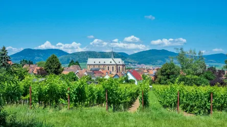 Eine malerische Weinlandschaft mit grünen Reben und einem kleinen Dorf im Hintergrund. Die Berge und der blaue Himmel schaffen eine idyllische Kulisse.