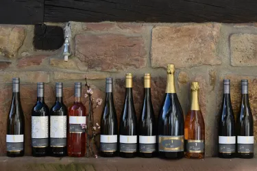 Weine und Sekte vom Weingut Stentz