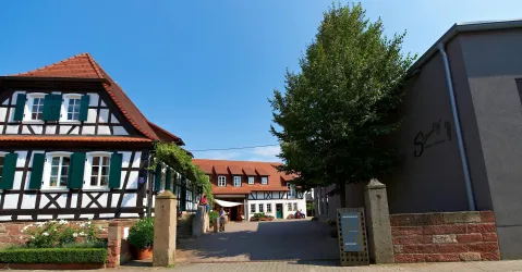Weingut Jürgen Stentz