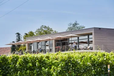 Ein modernes Restaurant mit großen Fenstern und Sonnenschirmen. Die Terrasse ist von grünen Pflanzen umgeben.